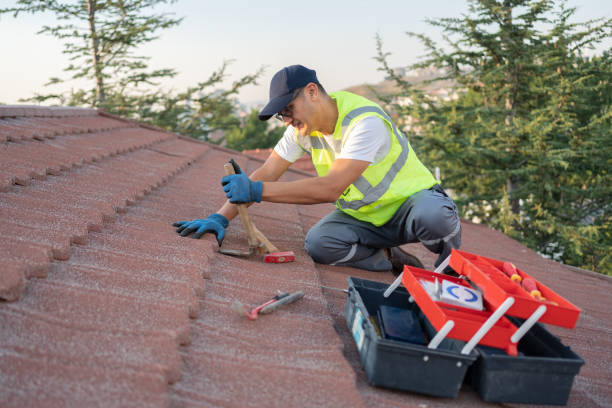 Roof Gutter Cleaning in Bruce, MS