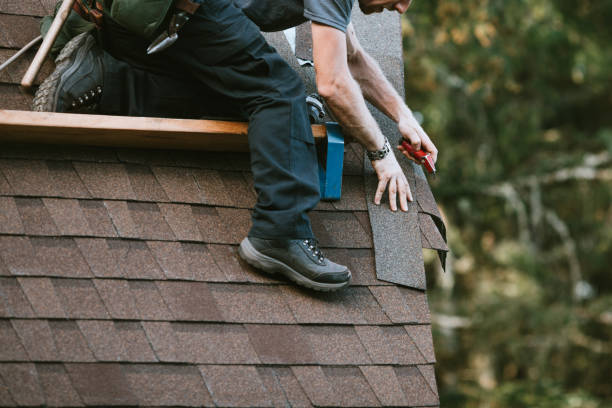 Best Roof Maintenance Services  in Bruce, MS